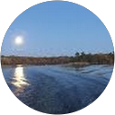 Jamie Osborne profile picture